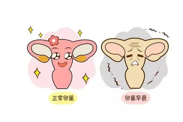 卵巢保养是如何按摩  原来年轻十岁很简单