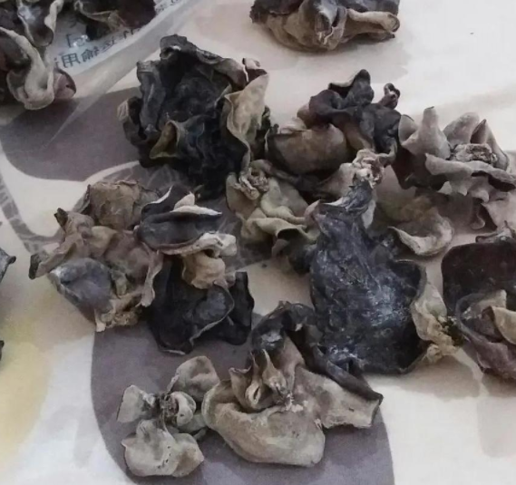 毛木耳能经常吃吗 毛木耳的功效作用