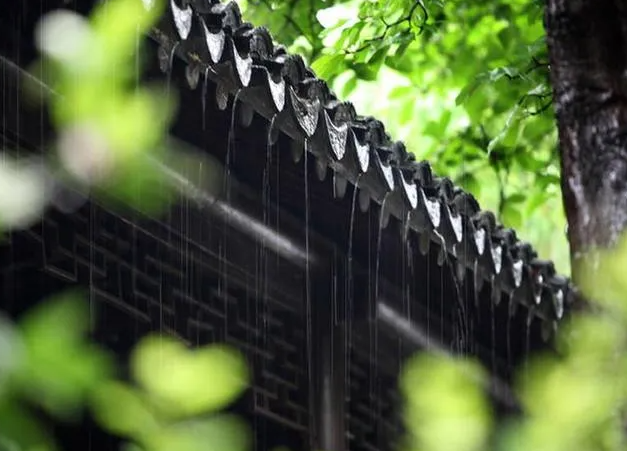 梅雨季节什么时候梅雨季节注意哪些