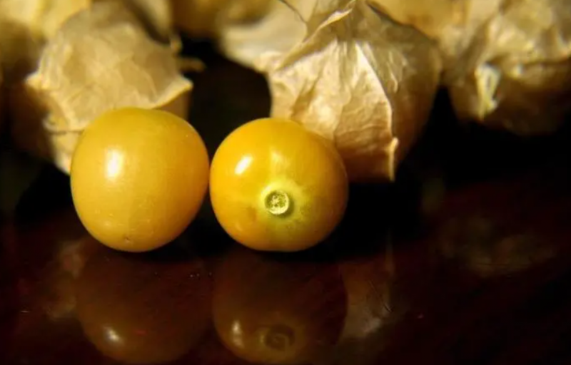 菇茑的功效与禁忌 菇茑怎么吃