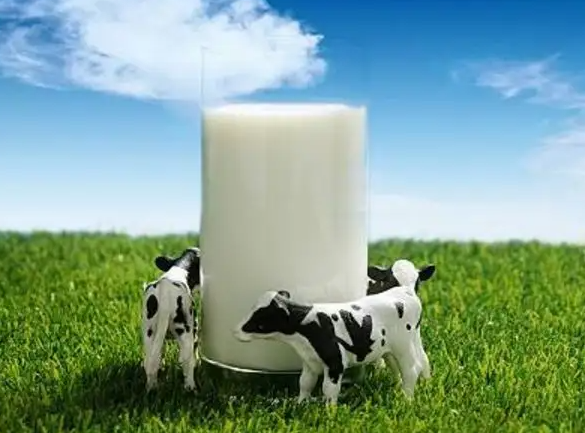 哪些人不宜吃吃牛初乳 牛初乳有坏处吗