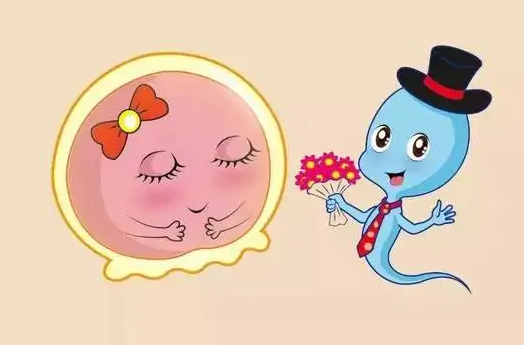 不排卵有啥症状 怎么知道卵子排出来了