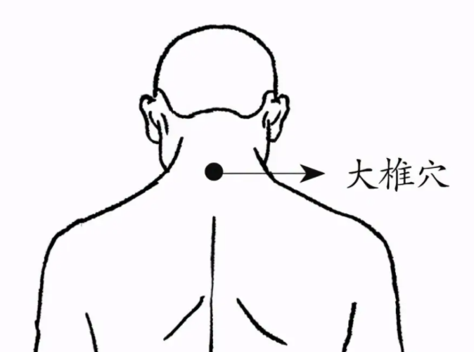 大椎的准确位置图大人图片