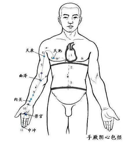 心包经的作用功效 拍打心包经的禁忌