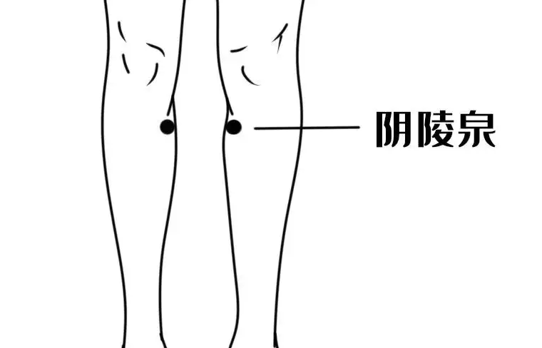 阴陵泉的功效与作用 阴陵泉痛是湿气重吗