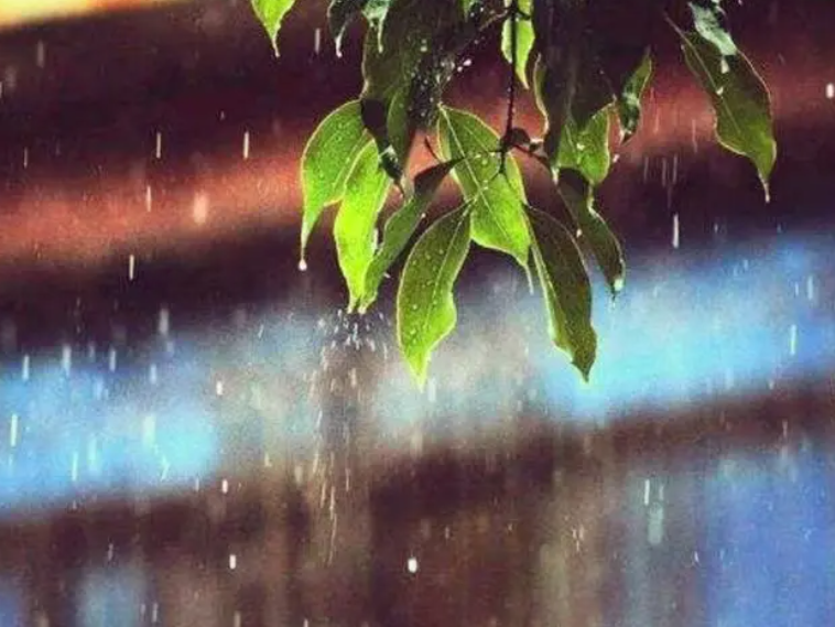 冬至下雨好吗 冬至为什么阴雨天多