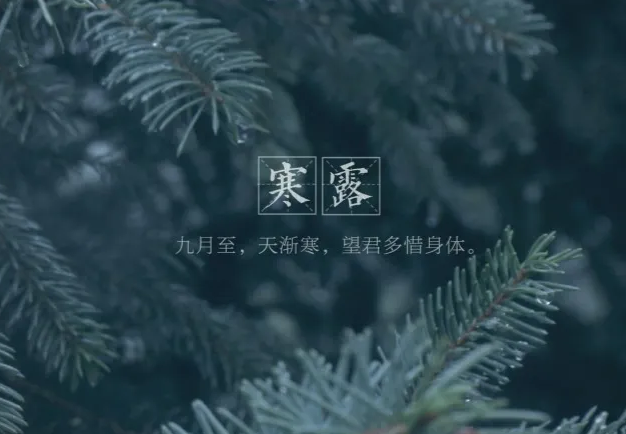 寒露是什么节气 24节气里寒露吃什么