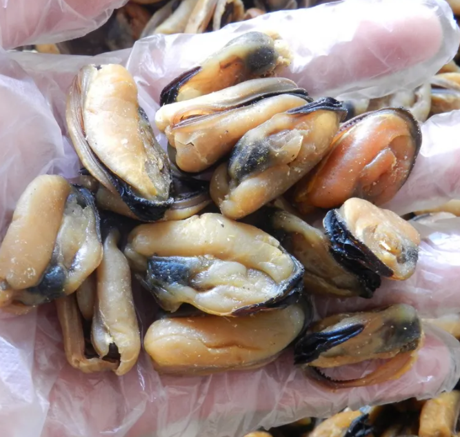 淡菜干怎么吃 淡菜干能直接吃吗