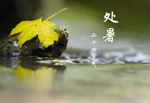 处暑是什么季节 处暑还热吗
