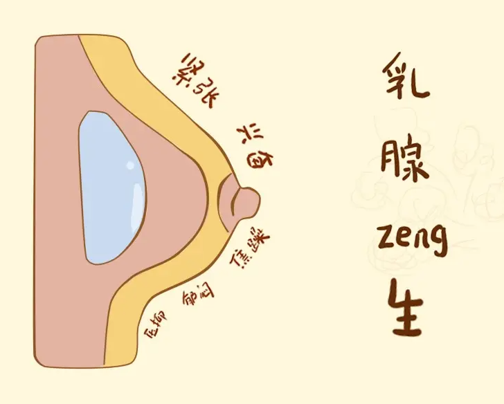 如何诊断乳腺增生 揭秘诊断乳腺增生的四大标准