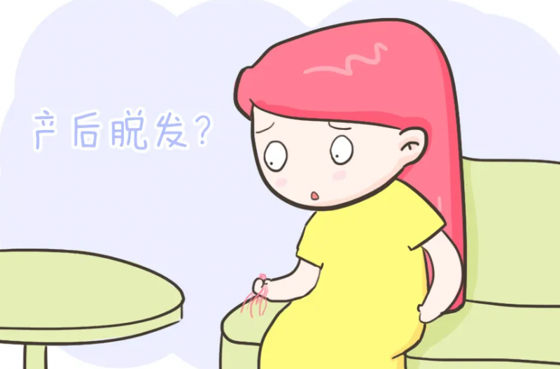 女性脱发怎么办 专家告诉您女性脱发解决办法