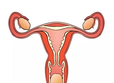女性应该如何检查宫颈糜烂 三个方法快速诊断