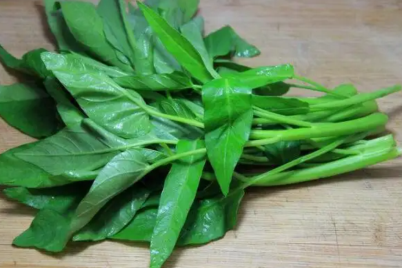 空心菜可以生吃吗 空心菜老了可以吃吗