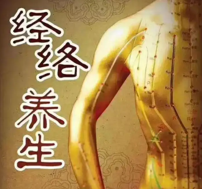 大包是什么经络 大包的位置及作用