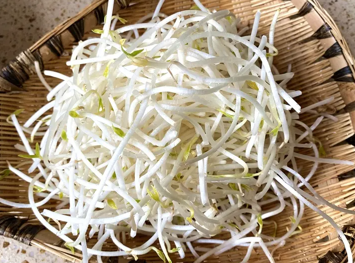 家里发绿豆芽的方法 绿豆芽怎么保存不会烂