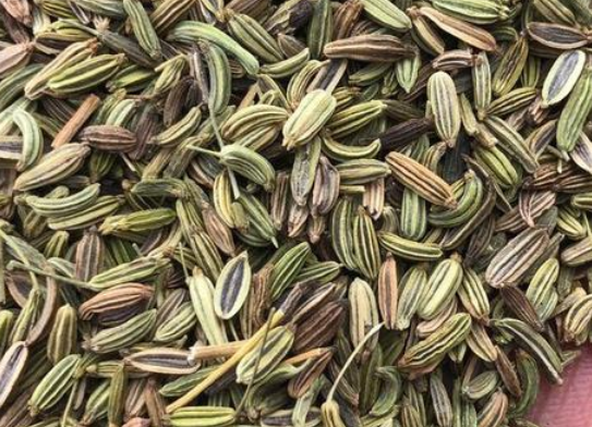 茴香能炒着吃吗 茴香苗怎么炒好吃