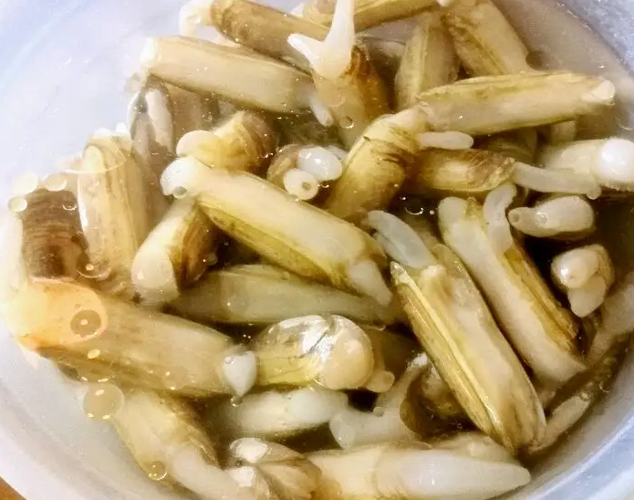 蛏子的功效与作用 蛏子的营养价值