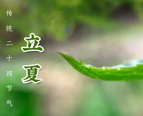 立夏是哪天 立夏是什么意思啊