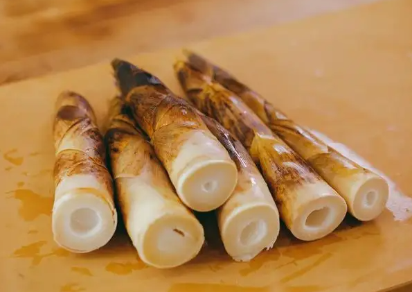 春笋怎么做好吃 春笋的吃法大全