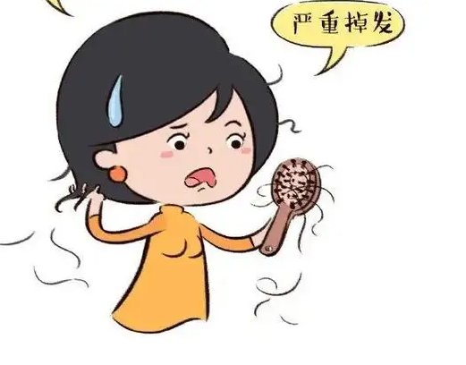 女性脱发与男性脱发有何区别 男女脱发同源不同症