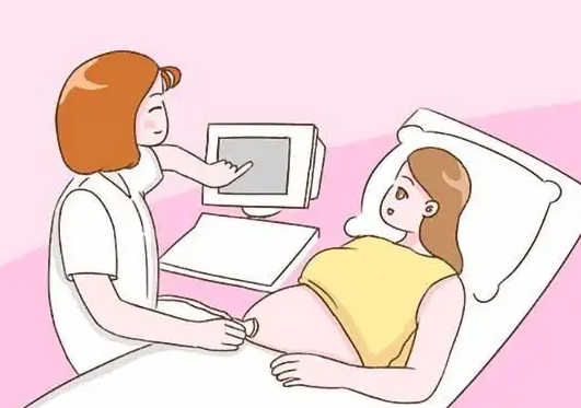 孕期彩超单怎么看男女