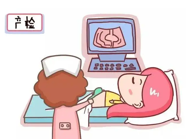 产检B超单怎么看 产检b超数据解读