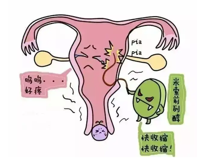 怀孕多久可以药流