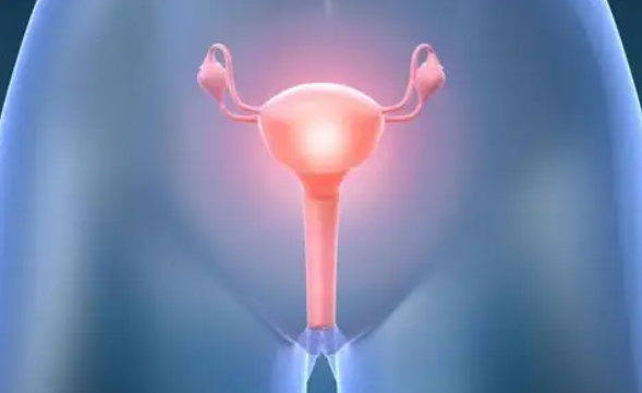 女人一生的子宫保养攻略