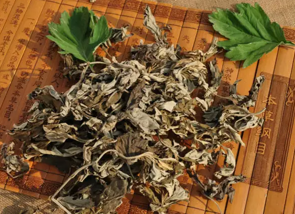端午节四款艾叶药膳 除烦活血化瘀