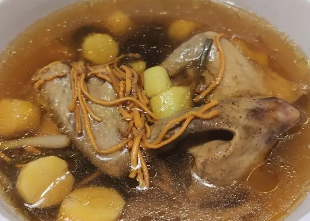 炖白鸽汤的功效与作用