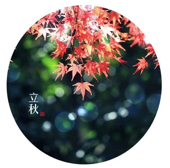 立秋吃什么 立秋饮食养生宜祛暑滋阴