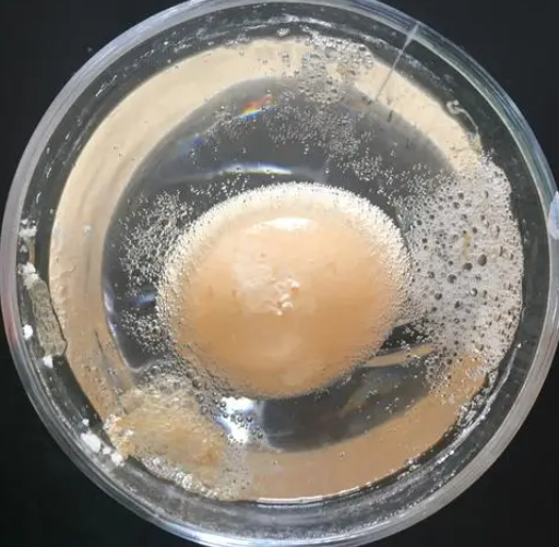 白醋泡鸡蛋的功效与作用