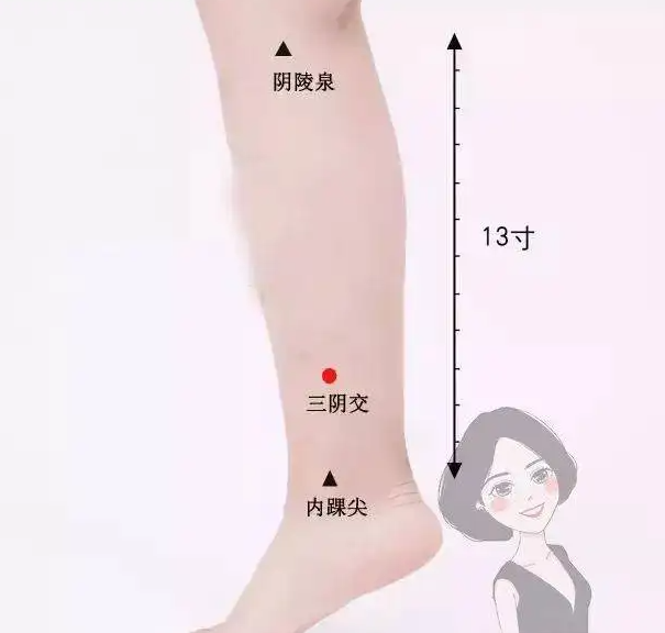 艾灸阴陵泉的功效 阴陵泉的准确位置图