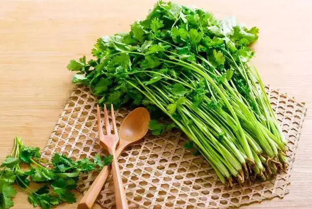 香菜煮水喝有什么功效 香菜煮水喝竟有这种神奇功效