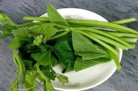 南瓜藤的功效与作用及禁忌 南瓜藤的吃法