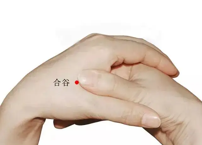 合谷的功效与作用