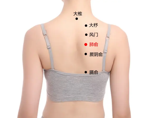 肺俞的功效与作用
