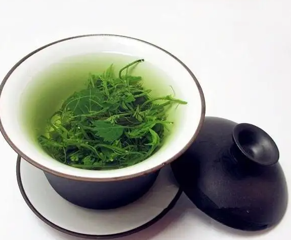绞股蓝泡水喝的功效及禁忌