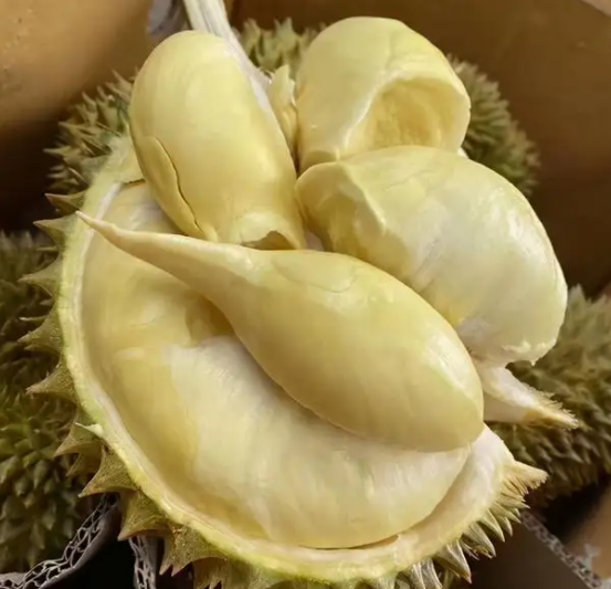 榴莲的功效与作用及禁忌