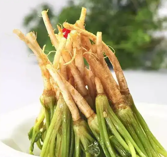 香菜根的功效
