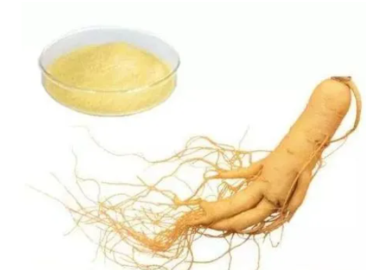 人参皂甙的功效与作用