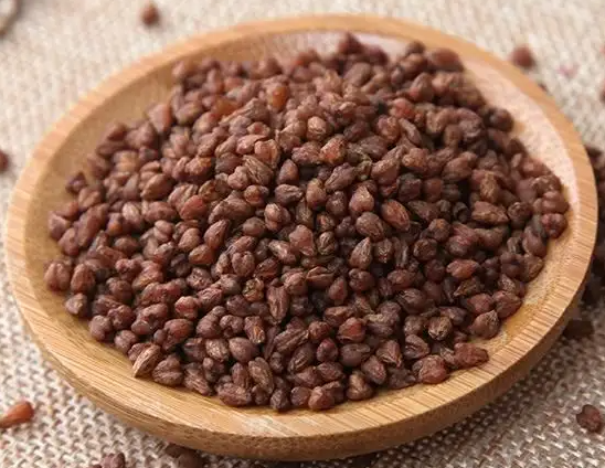 黑苦荞茶的功效与作用及食用方法