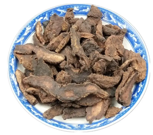 生地的功效与作用及禁忌
