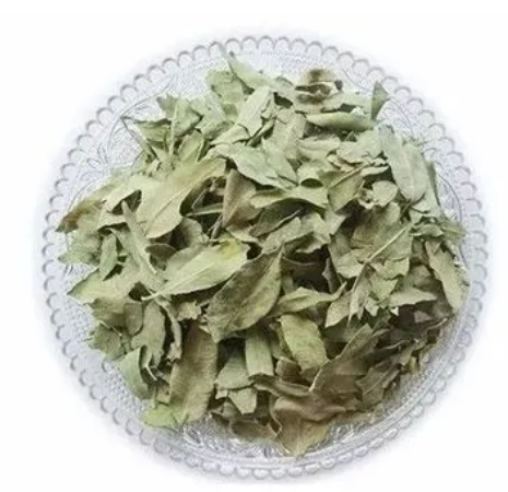 罗布麻茶的功效与作用及禁忌