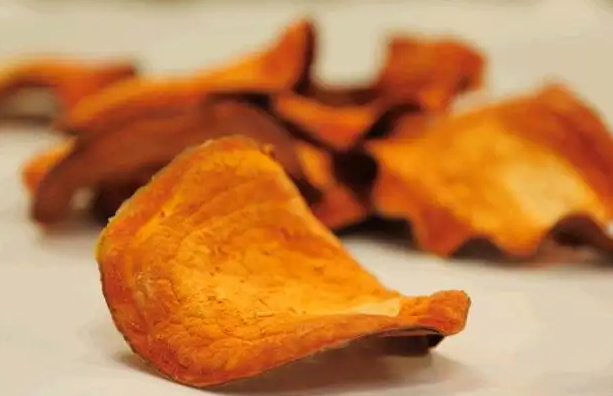 牛樟芝功效与作用