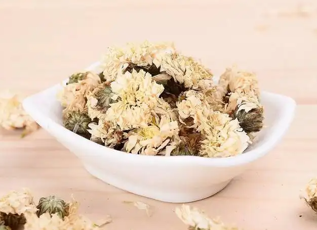 白菊花泡水的功效与作用