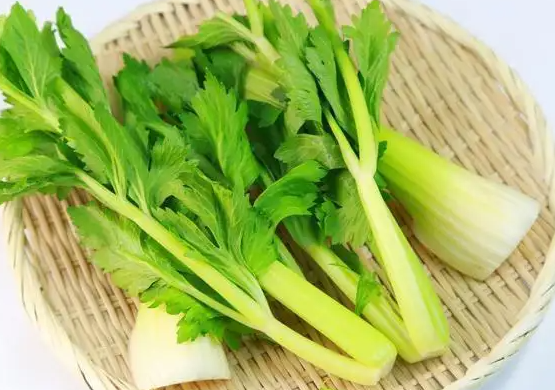 芹菜的做法 13款食疗方降压平肝治暗疮