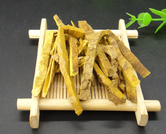 黄柏的功效与作用和主治