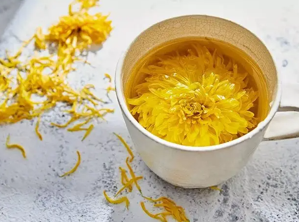 菊花茶的作用和功效