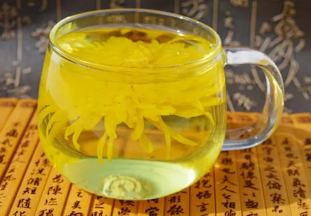 金丝皇菊花茶的功效与作用